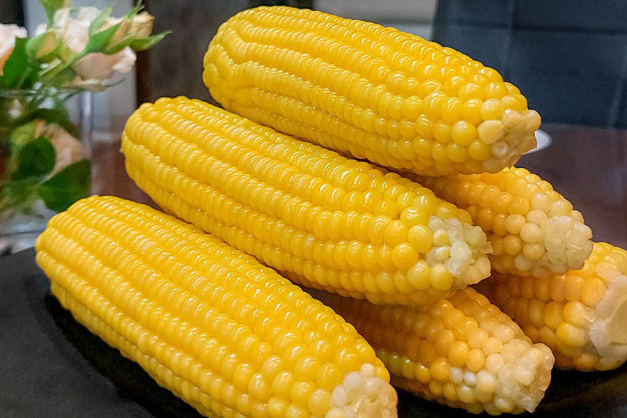 Как правильно варить кукурузу: секреты приготовления Как варить кукурузу