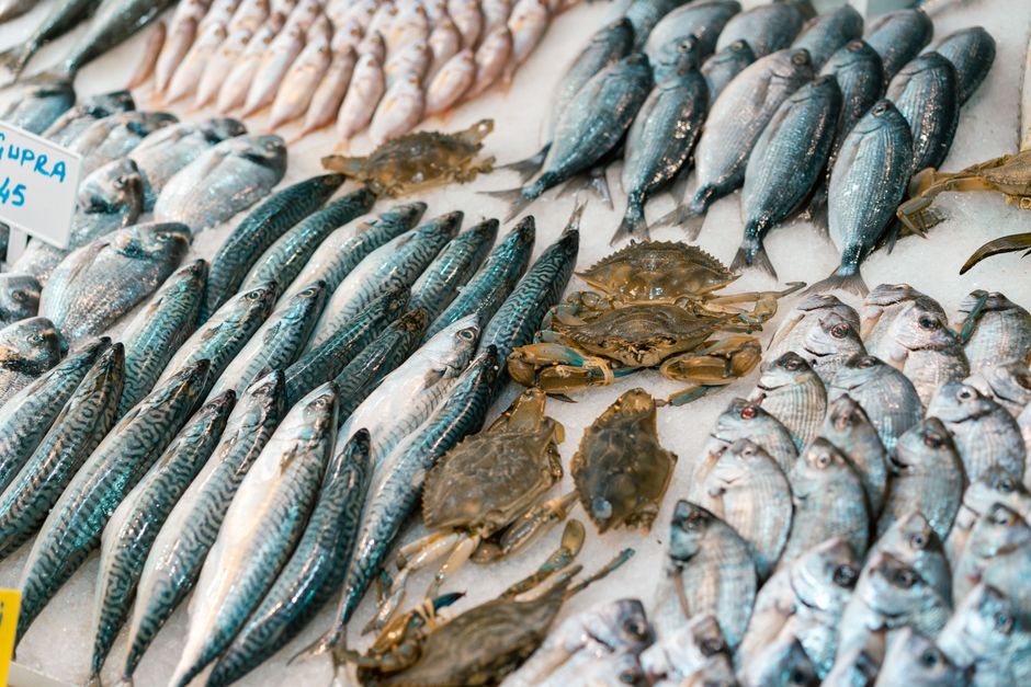 Свежая скумбрия подготовлена к заморозке на кухонной доске